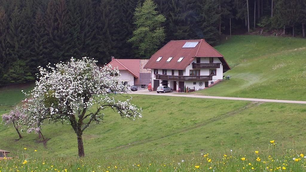 Ferienwohnung Ringwald Biederbach Baden-Württemberg Eksteriør billede